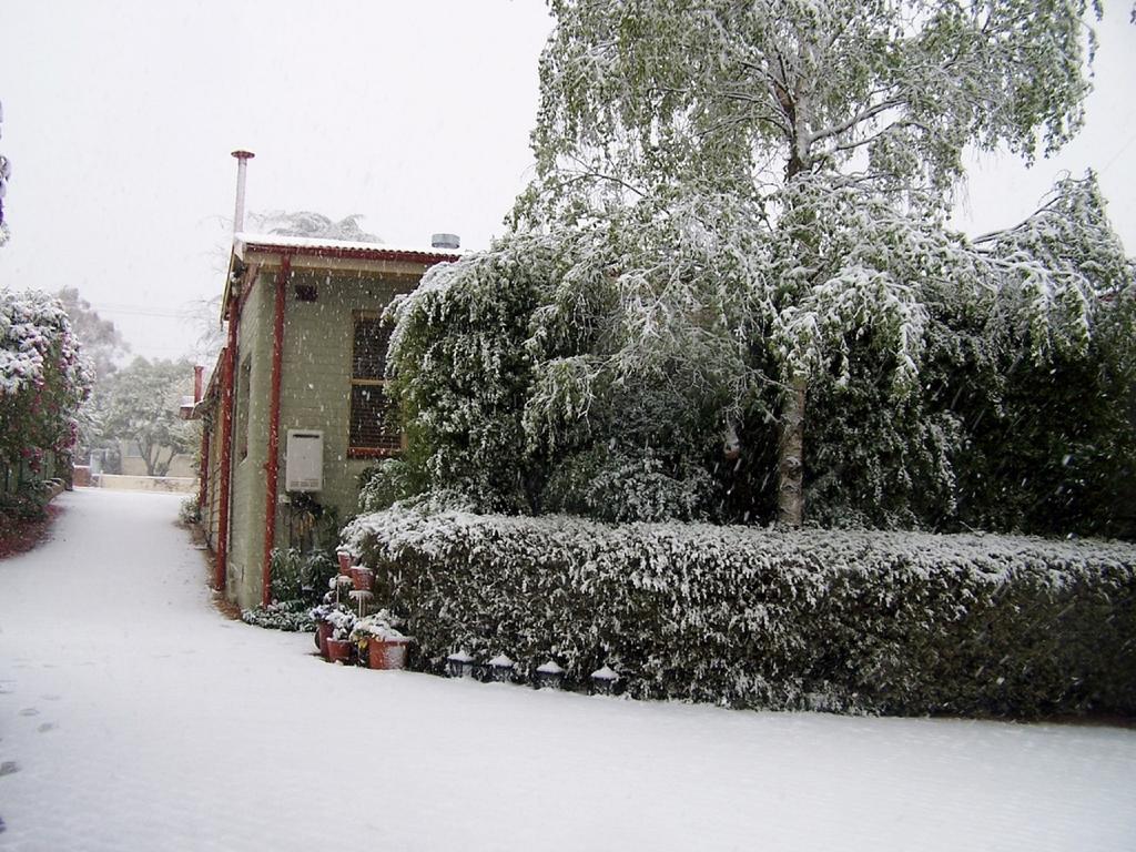 Shelton-Lea Villa Katoomba Exteriör bild