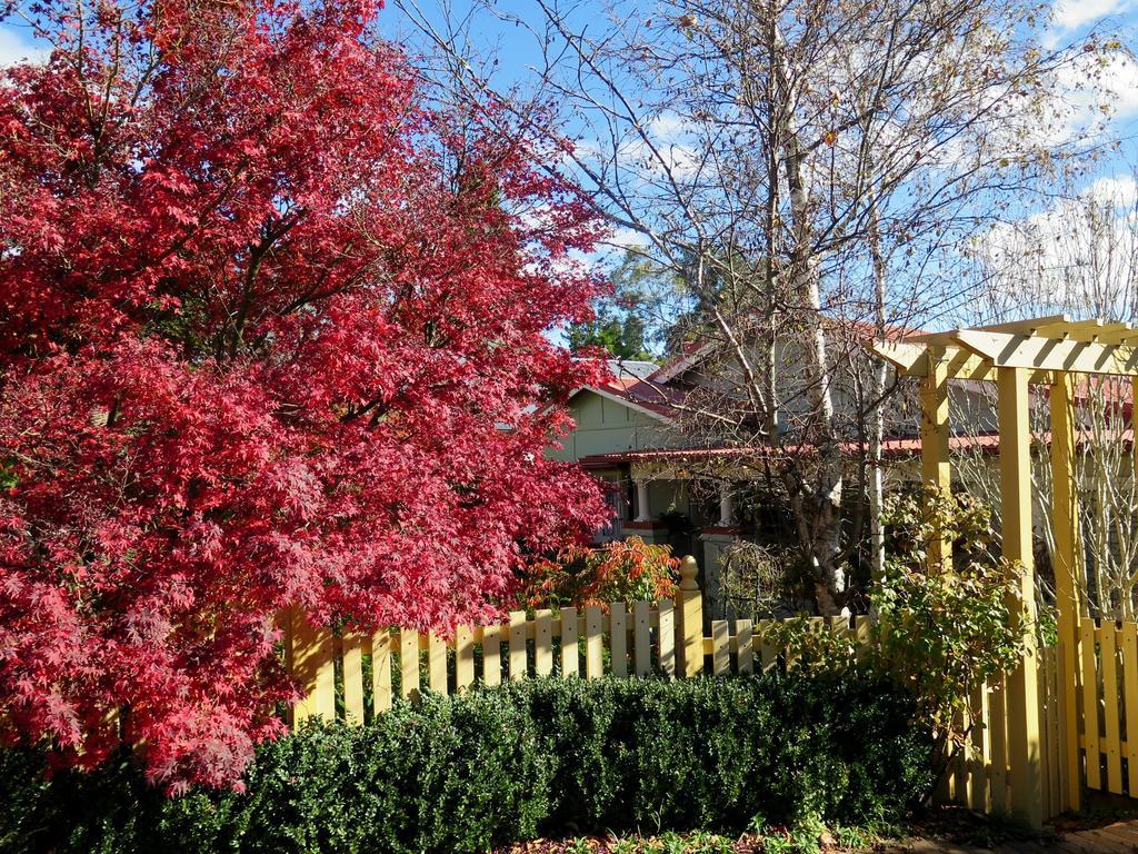 Shelton-Lea Villa Katoomba Exteriör bild