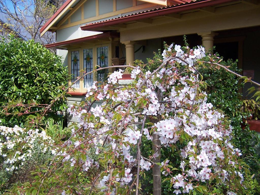 Shelton-Lea Villa Katoomba Exteriör bild